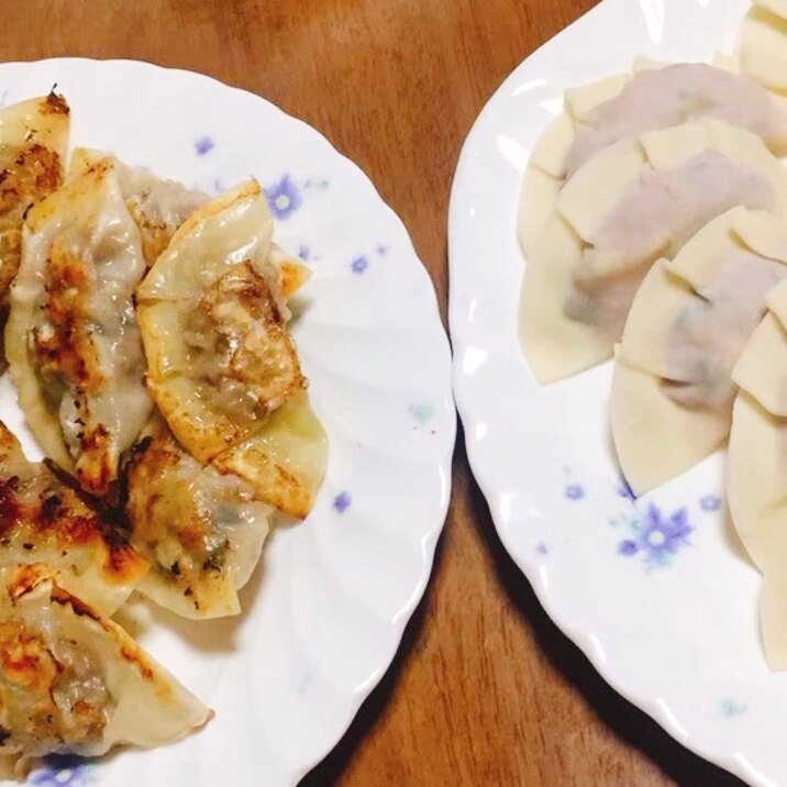 定番餃子、楽しく作ろう！チーズ焼きもおすすめです。